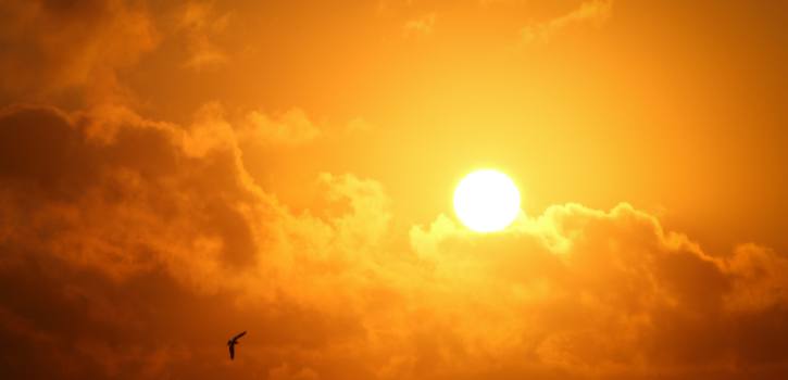 Exposición a la radiación solar, riesgo laboral en España.