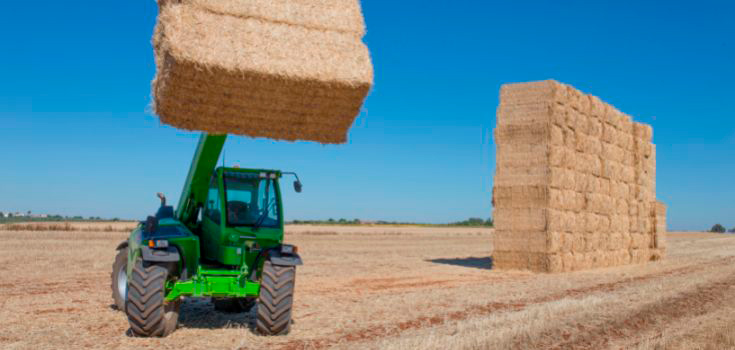 Prevención de riesgos laborales en el sector agrícola